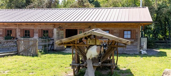 12 rooms Farm in Main-Taunus, Germany No. 305849 27