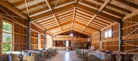 12 rooms Farm in Main-Taunus, Germany No. 305849 15