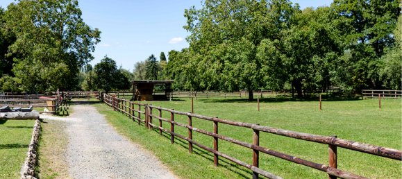 12 rooms Farm in Main-Taunus, Germany No. 305849 29