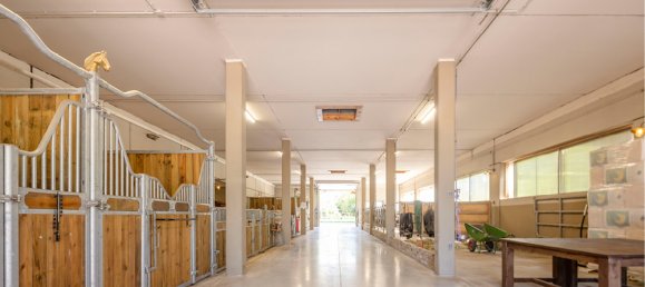 12 rooms Farm in Main-Taunus, Germany No. 305849 14