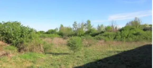 3245m² Commercial property in Elbe-Elster, Germany No. 300642 7