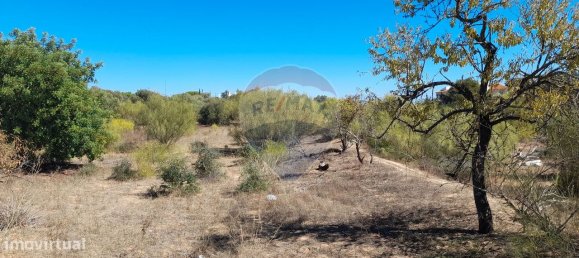  قطعة أرض في Silves, Portugal 7200متر مربع رقم 82824 2