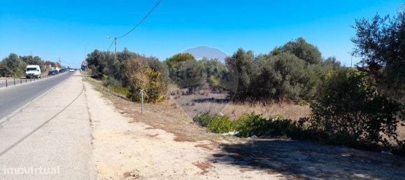  قطعة أرض في Silves, Portugal 7200متر مربع رقم 82824 7