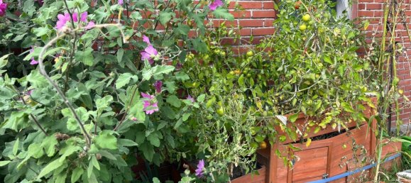 2-Zimmer Wohnung in Schleswig-Flensburg, Germany, Nr. 333299 20