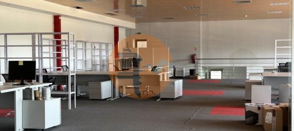 Lagerhaus in Quelfes, Portugal 4796m², Nr. 265190 12