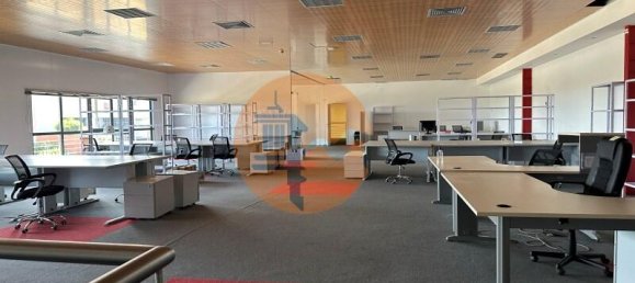 Lagerhaus in Quelfes, Portugal 4796m², Nr. 265190 6