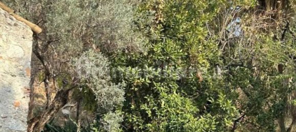  قطعة أرض في Caulonia, Italy 5000متر مربع رقم 343591 12