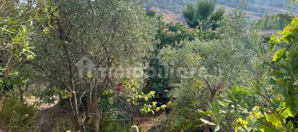  قطعة أرض في Caulonia, Italy 5000متر مربع رقم 343591 14