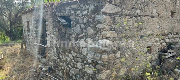  قطعة أرض في Caulonia, Italy 5000متر مربع رقم 343591 8