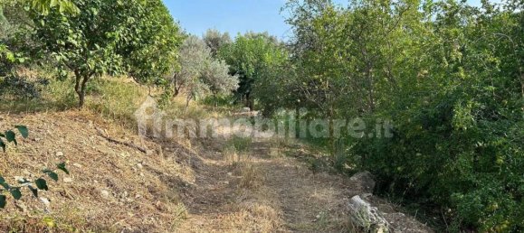  قطعة أرض في Caulonia, Italy 5000متر مربع رقم 343591 9