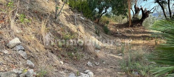  قطعة أرض في Caulonia, Italy 5000متر مربع رقم 343591 10