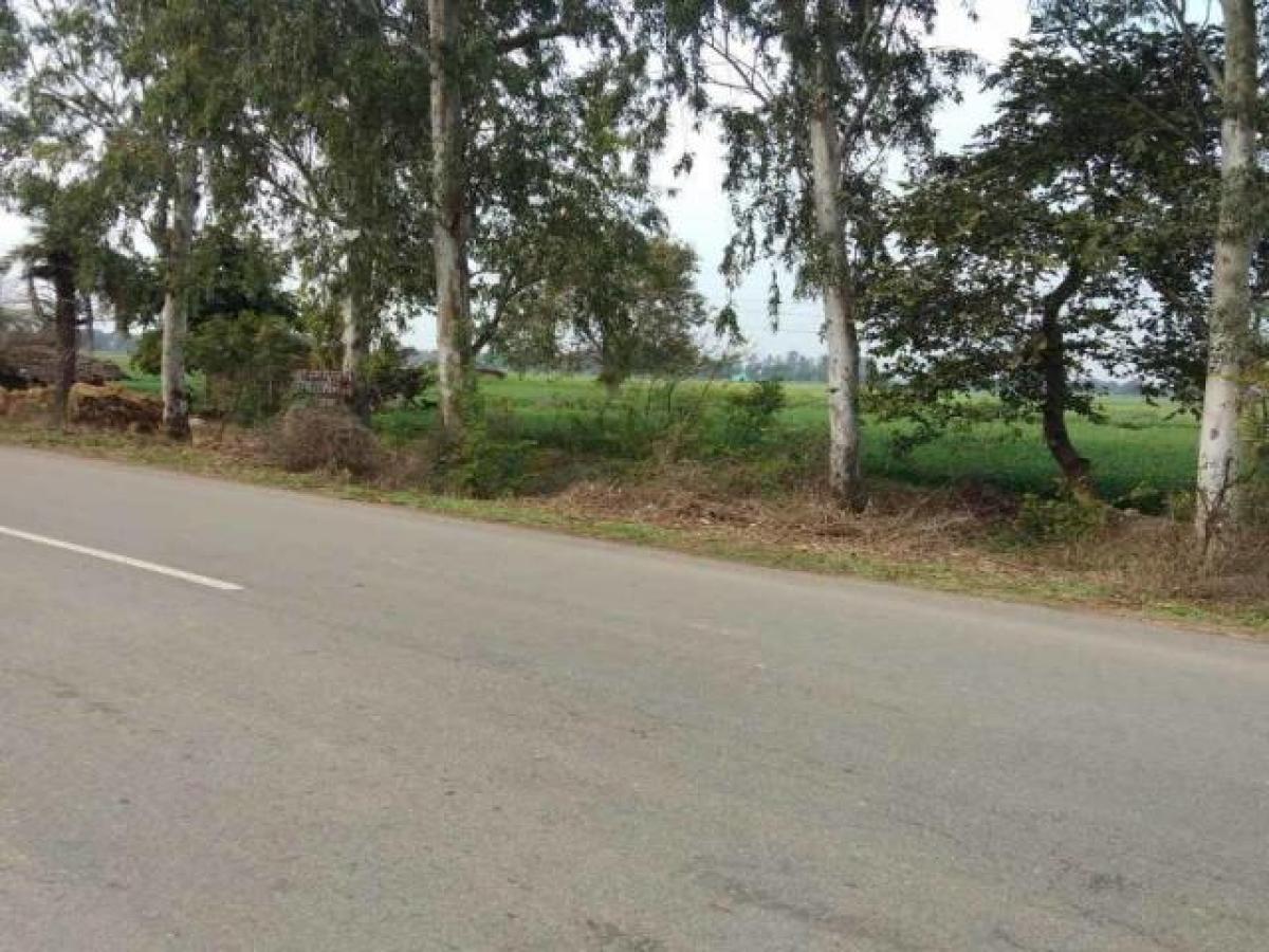 Grundstück in Noida, India, Nr. 65862