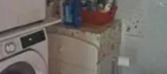 3 rooms Apartment in Acqualagna, Italy No. 95643 12