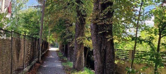 6-Zimmer Stadthaus in Liesing, Austria, Nr. 201238 32