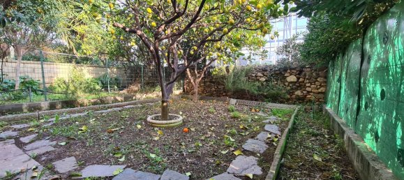 3-Zimmer Wohnung in Albenga, Italy, Nr. 273130 30