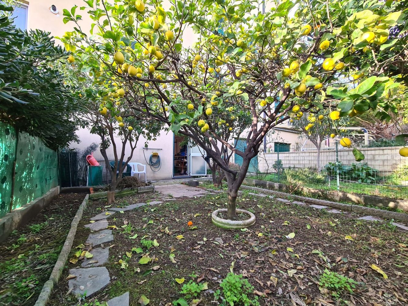 3-Zimmer Wohnung in Albenga, Italy, Nr. 273130