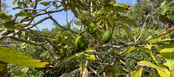 3 bedrooms House in L'Ampolla, Spain No. 38785 23