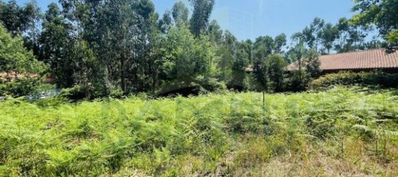 850m² Land in Caminha, Portugal No. 54875 6