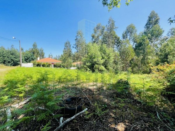 850m² Land in Caminha, Portugal No. 54875