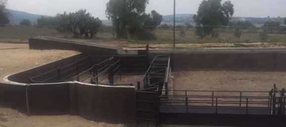 3 غرف نوم منزل في Zapotlan de Juarez, Mexico رقم 190432 2