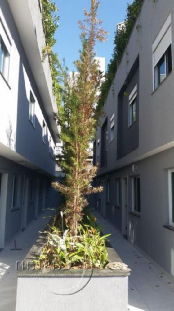 Casa T3 em São Paulo, Brazil N.º 561464