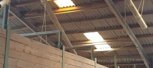 5 Schlafzimmer Bauernhof in Altenkirchen, Germany, Nr. 128428 23