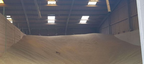 5 Schlafzimmer Bauernhof in Altenkirchen, Germany, Nr. 128428 22