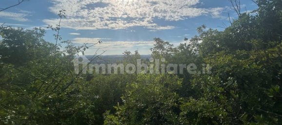 Земельный участок 6318м² в Верона, Италия № 296573 2