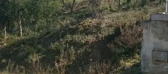 Terrain à Barcelona, Spain 805m² No. 161680 6