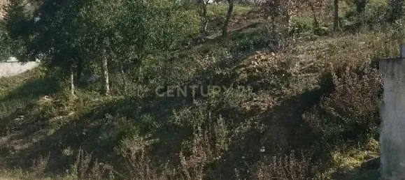 Terrain à Barcelona, Spain 805m² No. 161680 8