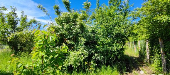 1 غرف نوم منزل في Gien, France رقم 62720 9