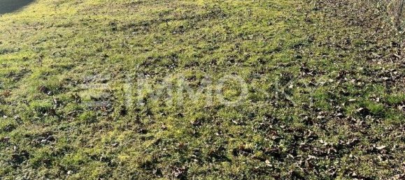 Terreno en Niederneukirchen, Austria No. 250819 5