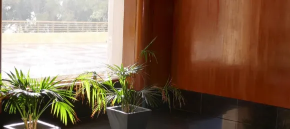 4 bedrooms Apartment in Cabo De Las Huertas, Spain No. 91653 45