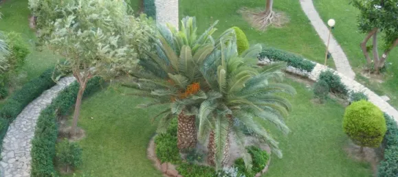 4 bedrooms Apartment in Cabo De Las Huertas, Spain No. 91653 48