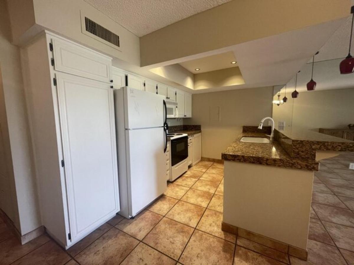 Studio in Palm Springs, USA No. 409851