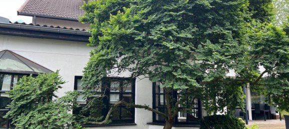 20 rooms Hotel in Gottingen, Germany No. 176848 5