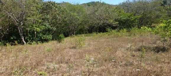 Land in Santa Cruz, Costa Rica No. 1613 3