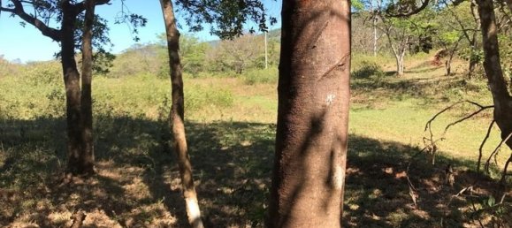 Land in Santa Cruz, Costa Rica No. 1613 6