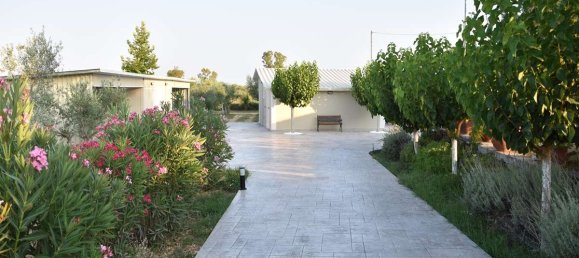 3 bedrooms Commercial property in Zakynthos, Greece No. 8539 12