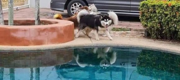 4 bedrooms Villa in Pattaya, Thailand No. 17699 4