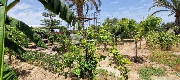 4 Schlafzimmer Villa in Alicante, Spain, Nr. 159694 14