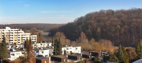 Ático de 3 dormitorios en Baden-Wurttemberg, Germany No. 25912 9