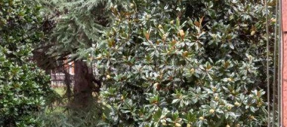 3 bedrooms Apartment in Brescia, Italy No. 4694 17