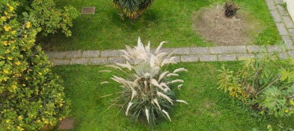 4-salle Appartement à Sestri Levante, Italy No. 14854 12