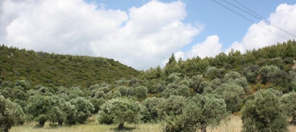 Hotel in Chalkidiki, Greece 30000m², Nr. 8073 10