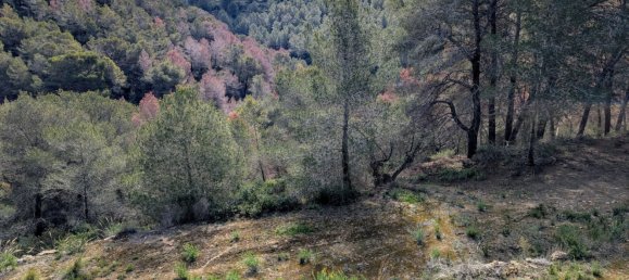  قطعة أرض في Benissa, Spain رقم 71317 12