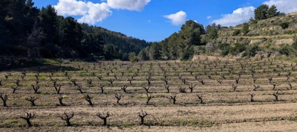  قطعة أرض في Benissa, Spain رقم 71317 14