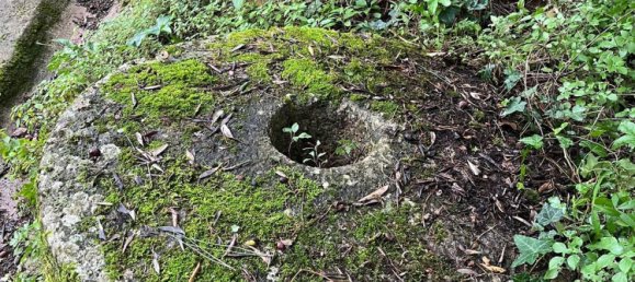 12 rooms Villa in Calci, Italy No. 252359 36