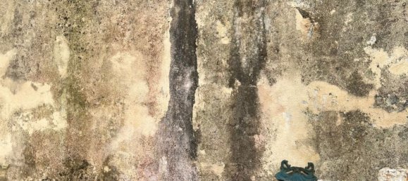 12 rooms Villa in Calci, Italy No. 252359 2