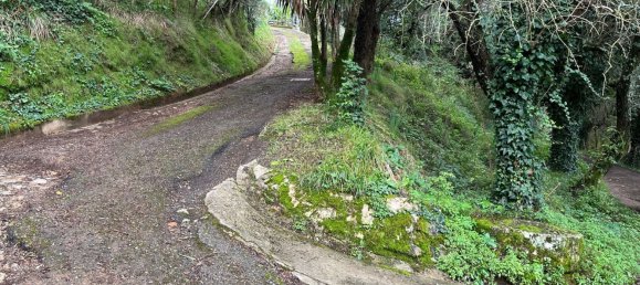 12 rooms Villa in Calci, Italy No. 252359 35